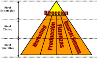 /album/gestion-y-administracion/organizacion-empresarial-png/
